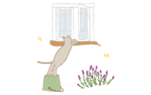 リノベーションイラスト