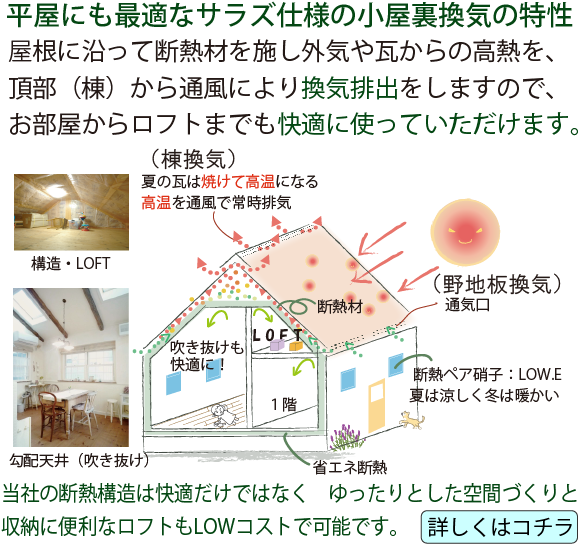 平屋,バリアフリー,大人かわいい,吹き抜け,ミニマム,家,暮らし,小さな,住み替え,建て替え,ペットと暮らす,二人だけ,天窓,写真,施工例,岡山